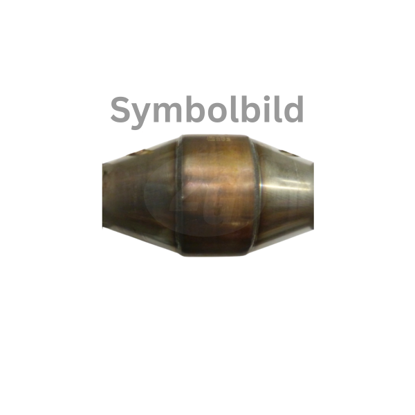 Oxidationskatalysator 160mm tief für 1013
